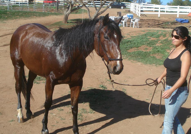 Jennifer with Smokette after her bath