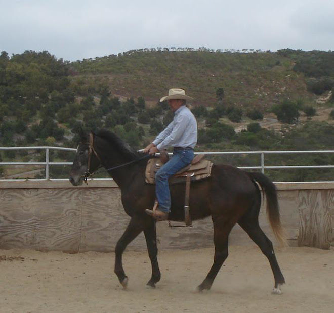 Baron's First Ride