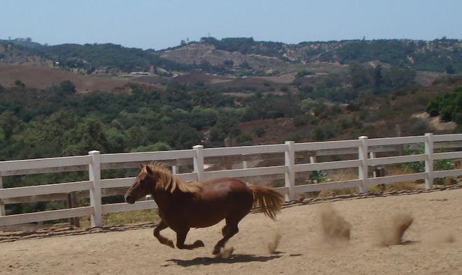 Nobody is movin...so Buddy revs up!