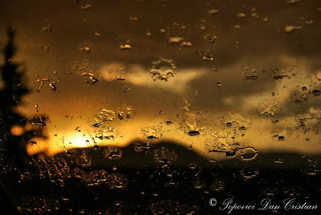 Golden Rain