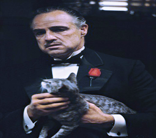 Don Vito Corleone e Gatinho