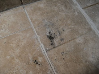 Black Mold Strachybotrys Atra And Travertine Tile Confessions Of