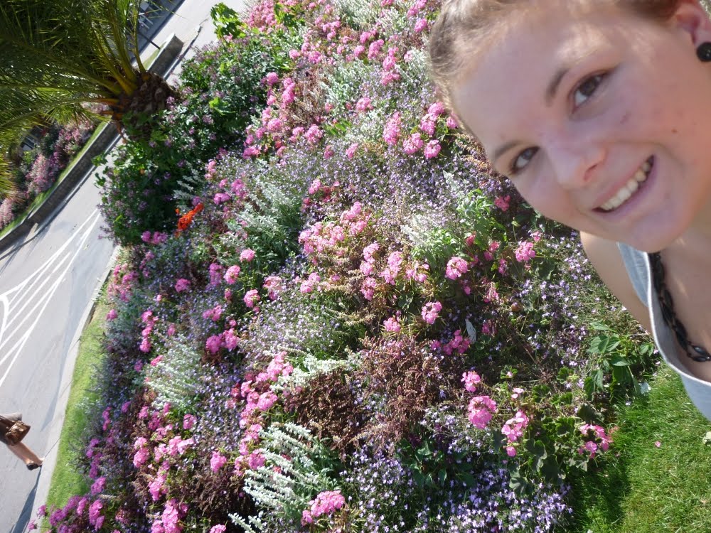 [84.JPG]