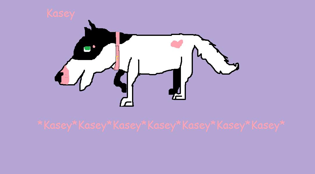 [kasey.jpg]