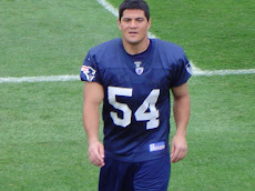 Tedy Bruschi