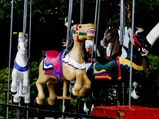 carousel horses in collingwood, ont