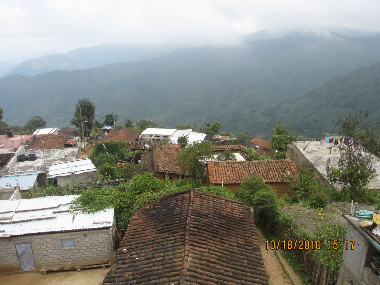 Angel Saul Santa Maria Quiegolani