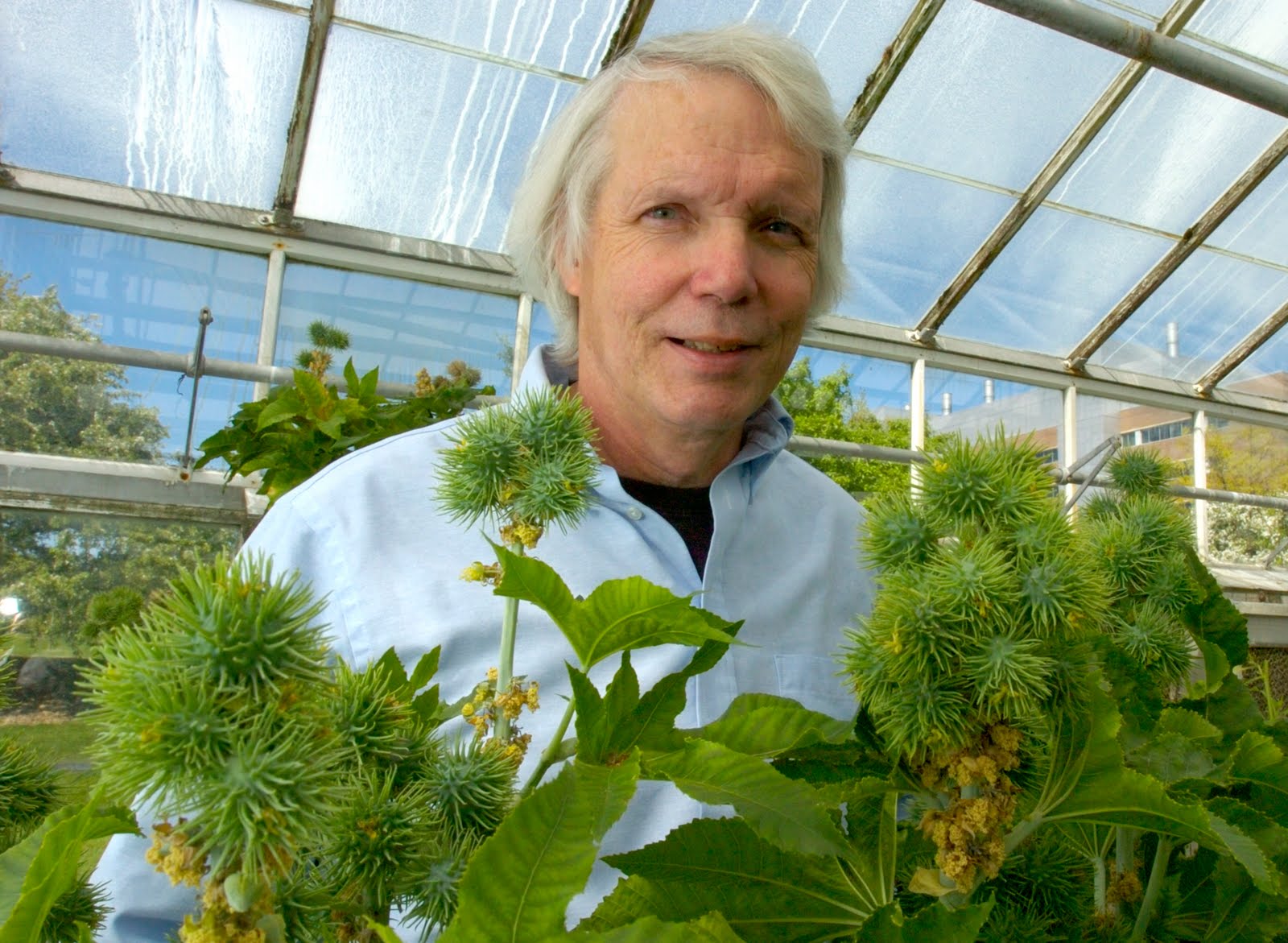 Restoring The Landscape With Native Plants That S Invasive