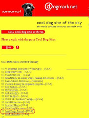 Cool Dog Site of the Day