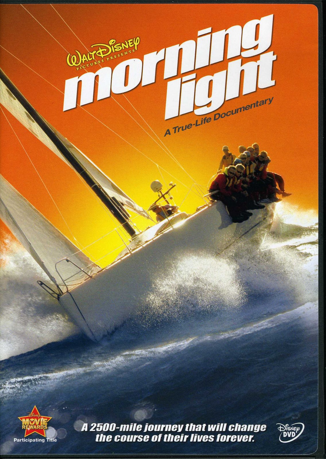 [DGP+Blog+6-09001.jpg]