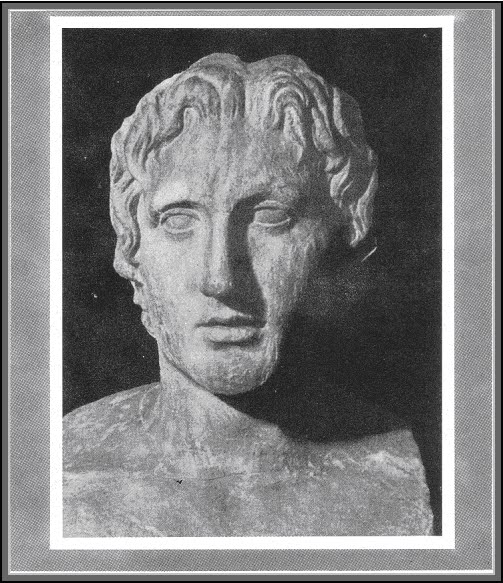 [A+-+Alessandro.bmp]