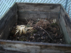 Compost Bin