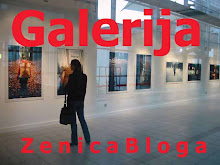 Galerija ZenicaBloga