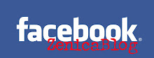 Facebook-ZenicaBlog