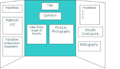 Almeda Science: What should a science board look like?