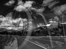 CADA UM ESCOLHE SEU CAMINHO