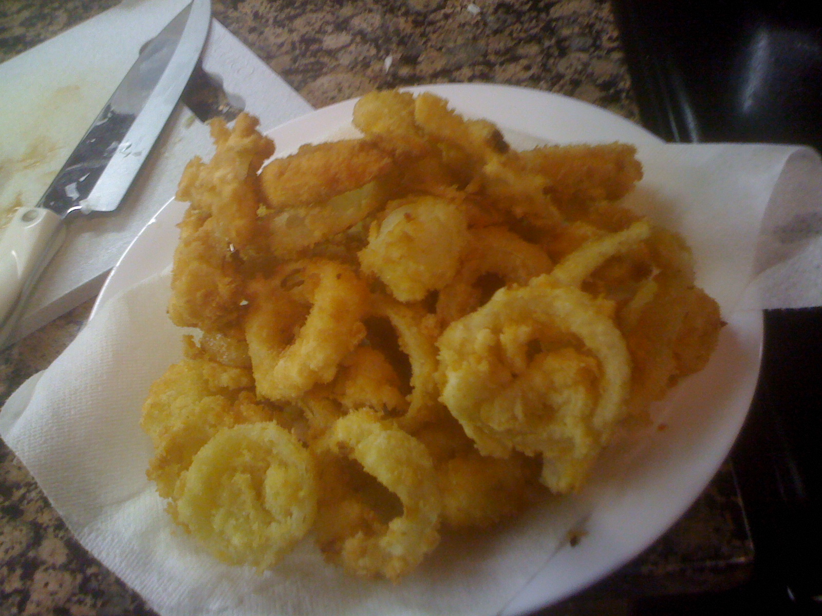 Engineers Guide to the Galaxy Onion Rings Poutine