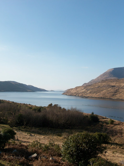 Connemara Fjord