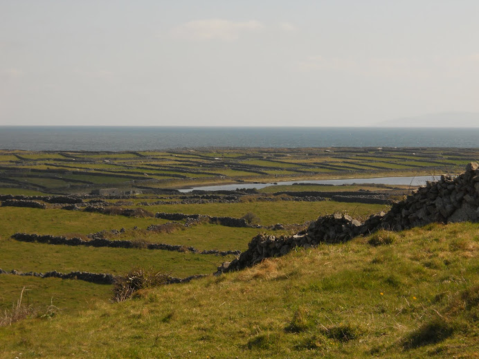 Stone Walls- Aran Islands