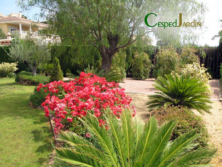 CESPEDJARDIN / Césped Artificial Jardinería y Paisajismo