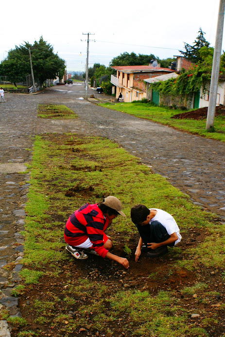 Jero y Theo checando árboles