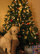Christmas Day