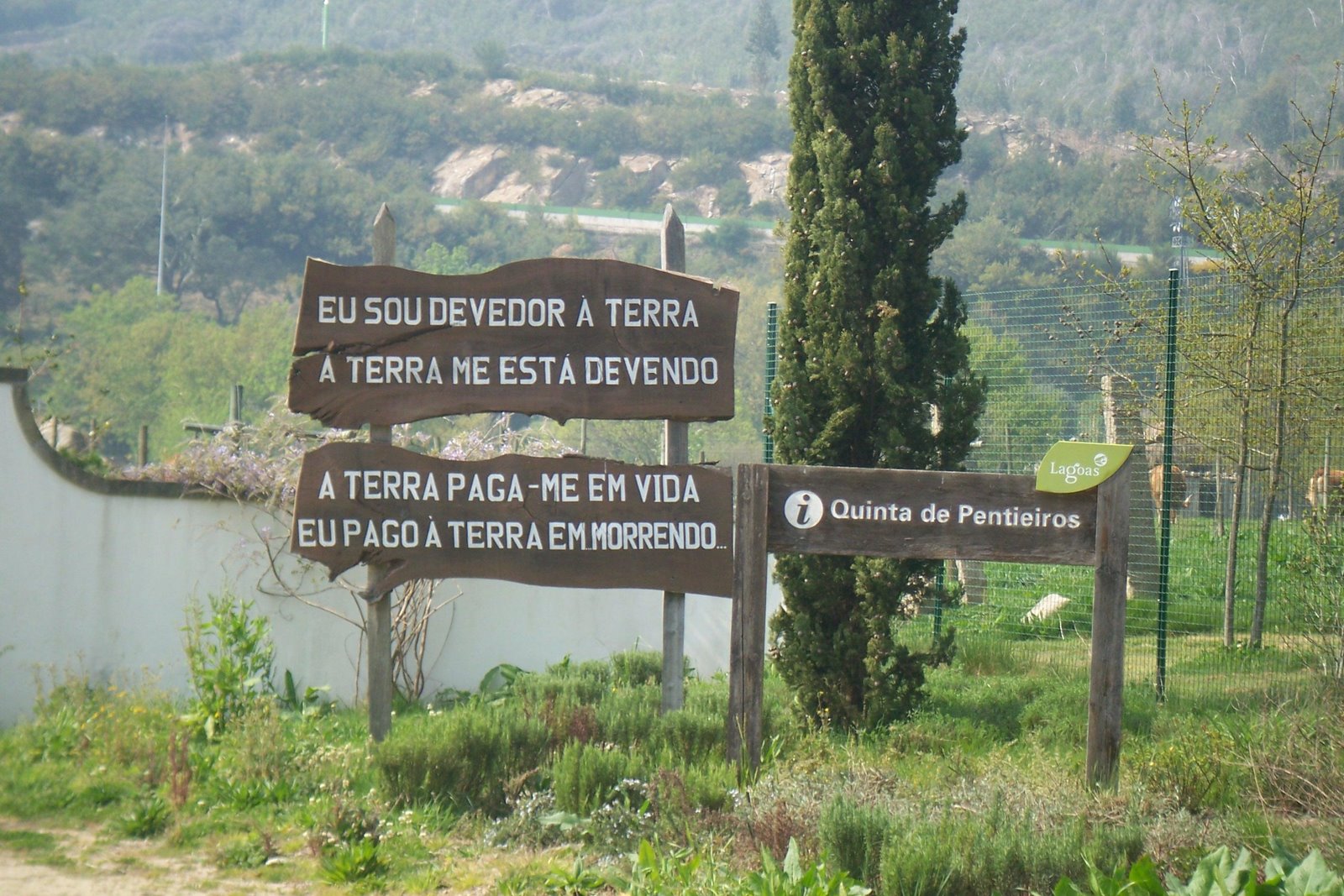 [2009_0321_124025aaa.JPG]