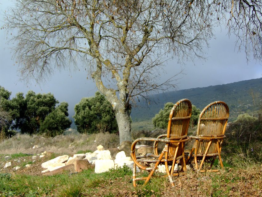 PASOS Alins (del Monte), 10 de diciembre