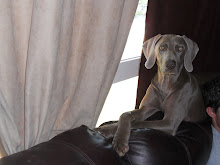Kimber