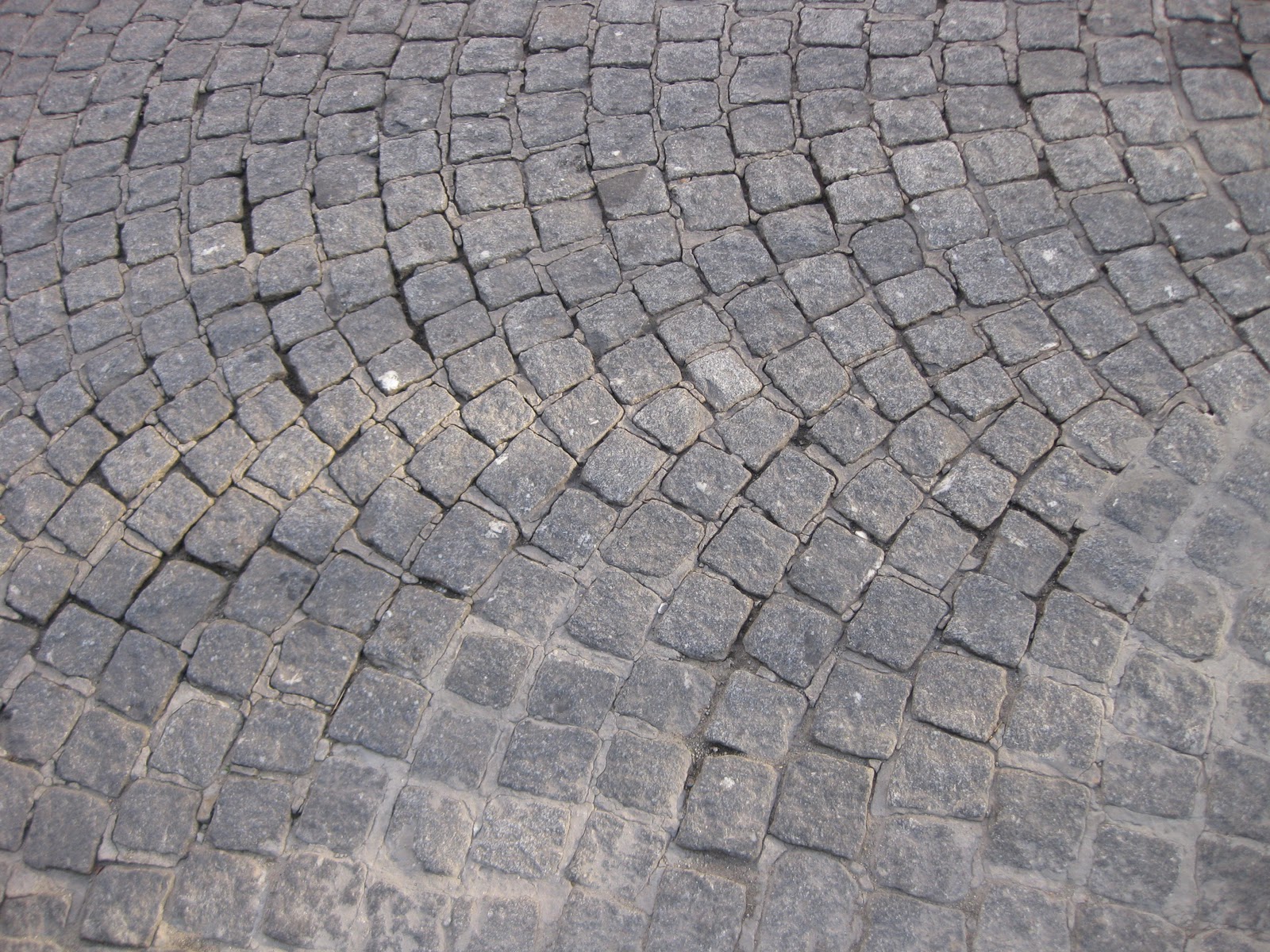 ...life is but a dream... take home chronicles cobblestone