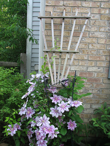 [500138172_acee161a02[1].jpg]