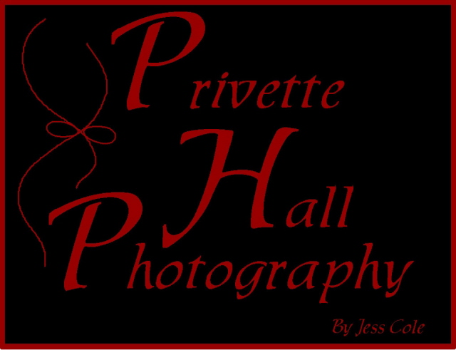 Privette Hall Photography