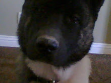 Wouldn"t you take me home....?