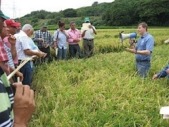 APRENDIENDO SOBRE AGRICULTURA