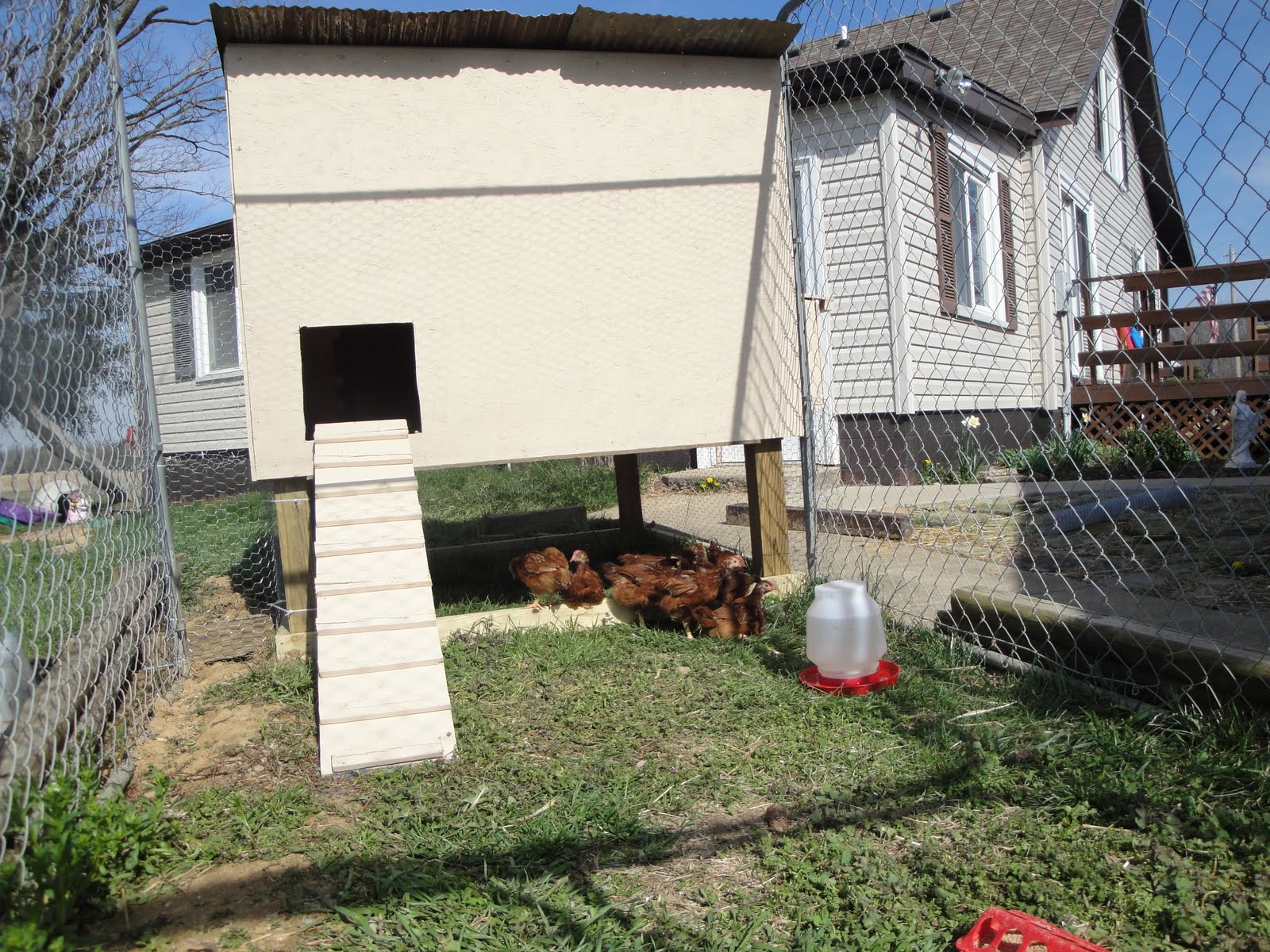 Copper Corral The Chicken Coop