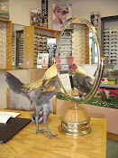 ...I'm looking at the man in the mirror.....!