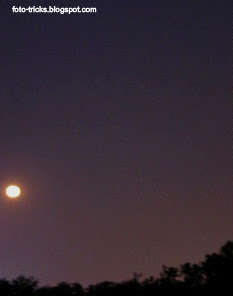 Photography of moon over trees 