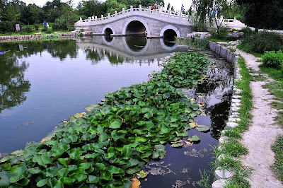 botanical garden in Beijing
