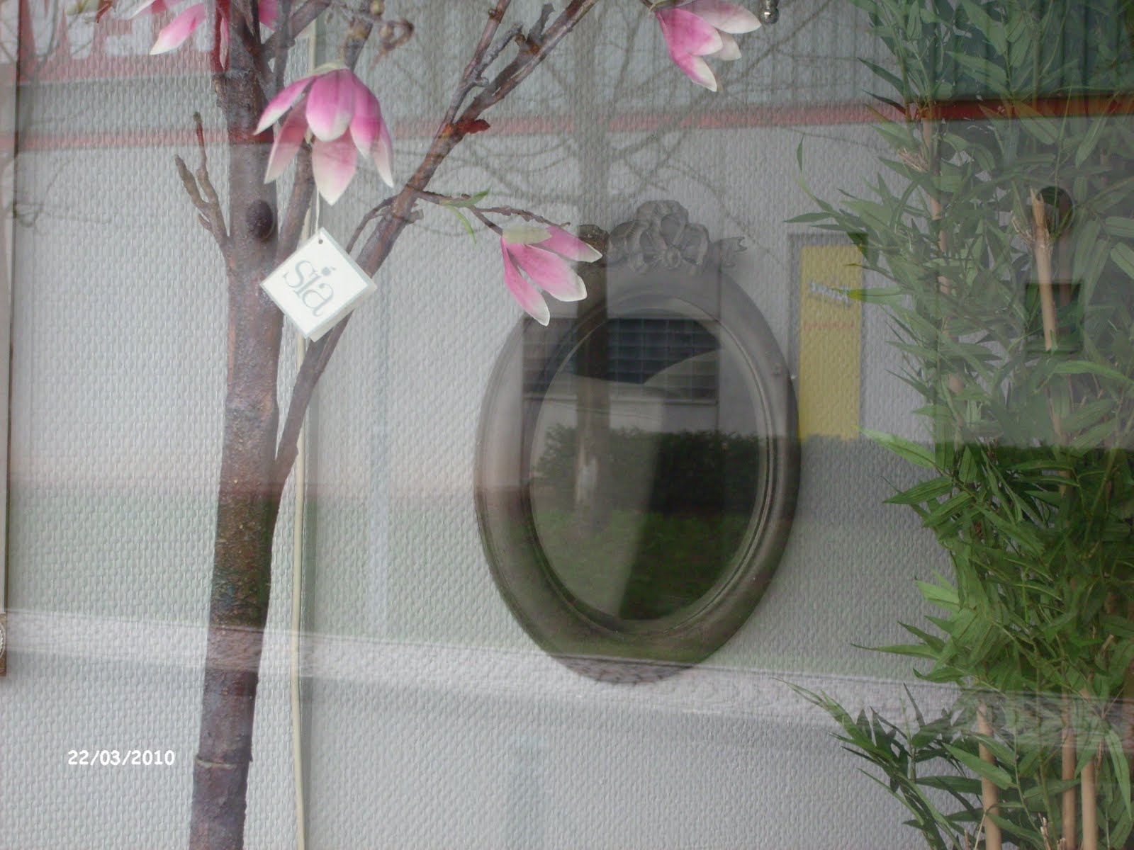 Rosenreslis Traum: Schaufensterbummel