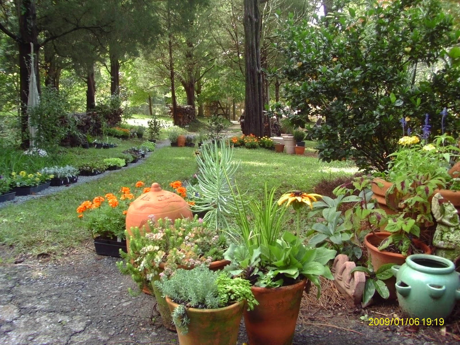 Oakton House and Gardens LE JARDIN JOLI FALL PLANT SALE