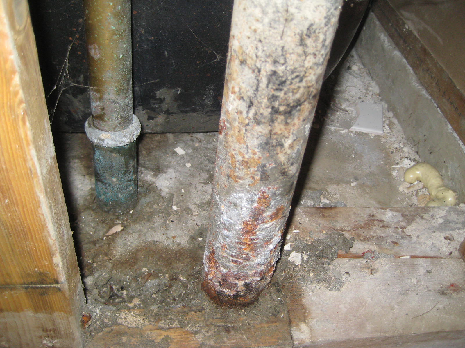 A Logical Mess - Professional Organizer: Homeownership: bathroom dry rot