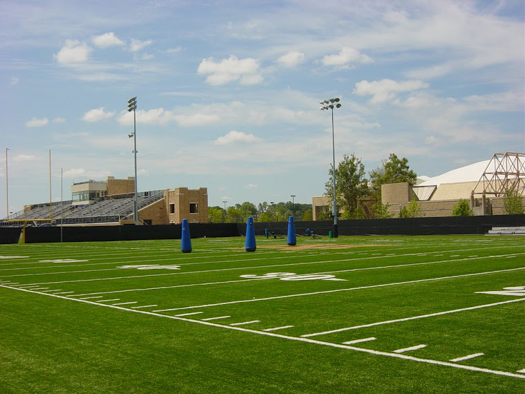 Field 1