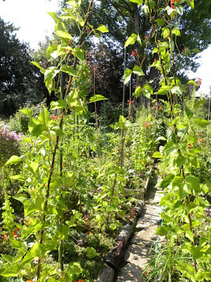 Vom Wachsen und Werden: Gemüsegarten VII - Über das Füttern des Bodens