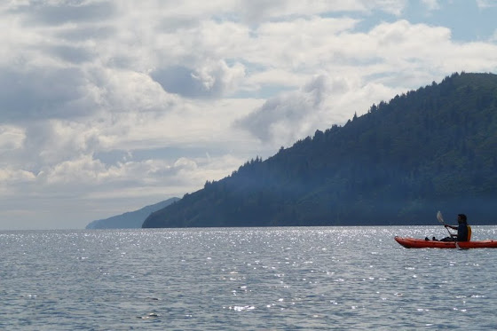 Aquí estamos Kayakeando en Picton