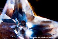 Viewing the world a little different this week