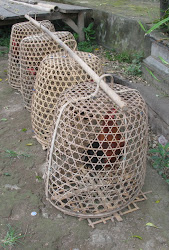 chicken coop coops christmas tree guacamole gulch job