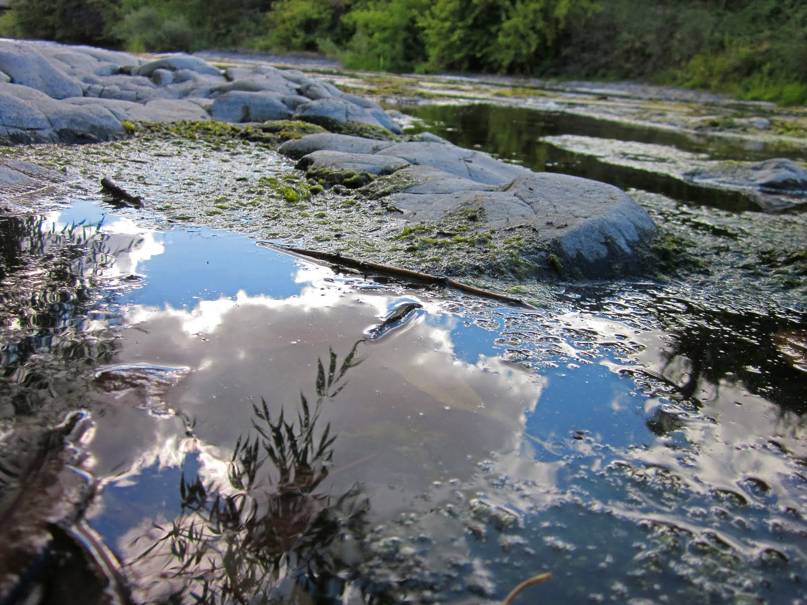 Pilot Rock HS Photography Cloudy Water by Shawna
