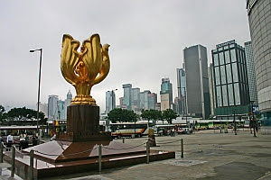 Golden Bauhinia Square