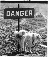 [rené+maltête+2.jpg]