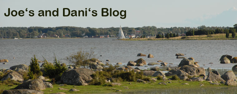 Joe's and Dani's Blog